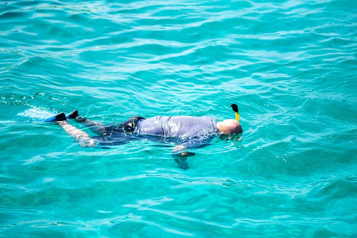 Catamaran zeil- en snorkelavontuur op Aruba met stops bij scheepswrakken en koraalriffen, foto 21 | wizardtrip
