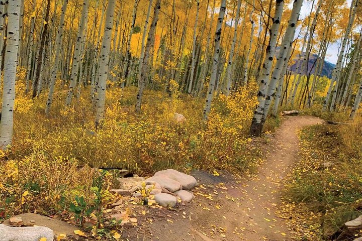 Guidet vinterfottur i Rocky Mountain nasjonalpark, Colorado, foto 7 | wizardtrip