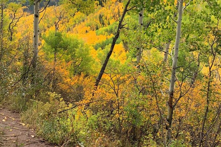 Guidet vinterfottur i Rocky Mountain nasjonalpark, Colorado, foto 9 | wizardtrip