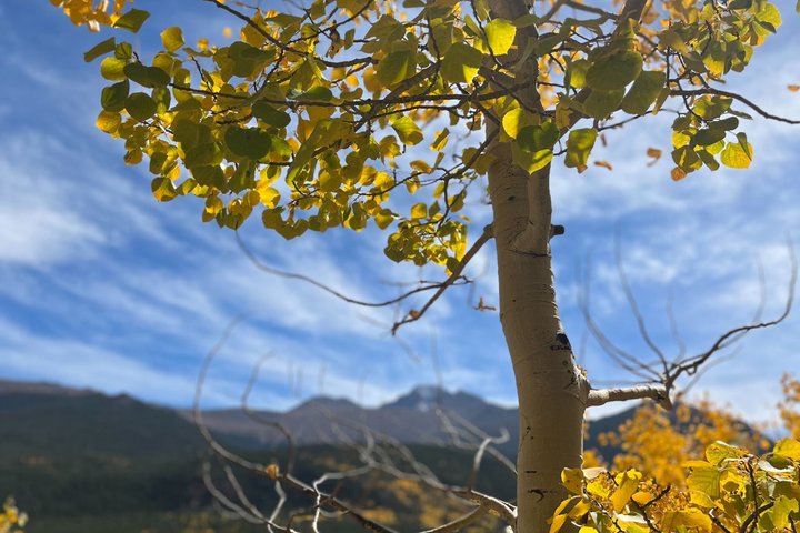 Guidet vinterfottur i Rocky Mountain nasjonalpark, Colorado, foto 10 | wizardtrip