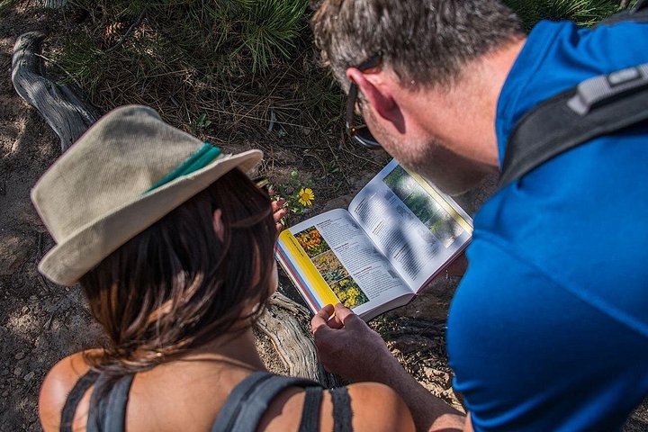 Guidet vinterfottur i Rocky Mountain nasjonalpark, Colorado, foto 14 | wizardtrip