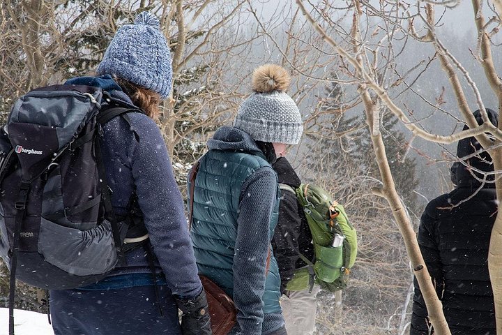 Guidet vinterfottur i Rocky Mountain nasjonalpark, Colorado, foto 25 | wizardtrip