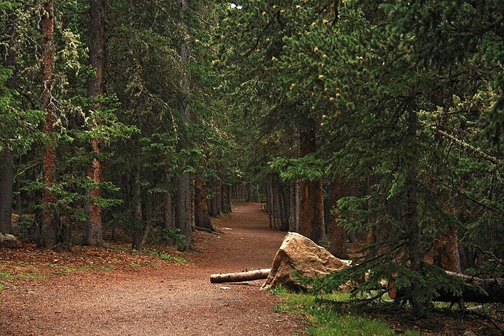 Vues panoramiques de montagnes et balades nature dans les Rocheuses du Colorado depuis Denver, photo 18 | wizardtrip