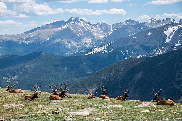 Naturskøn tur i Rocky Mountain National Park fra Denver med bjerge, søer og dyreliv, foto 8 | wizardtrip