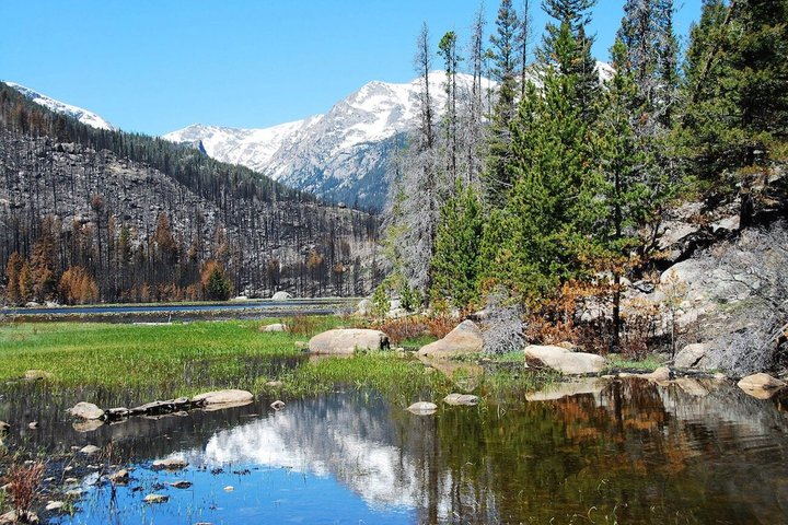 Naturskøn tur i Rocky Mountain National Park fra Denver med bjerge, søer og dyreliv, foto 12 | wizardtrip