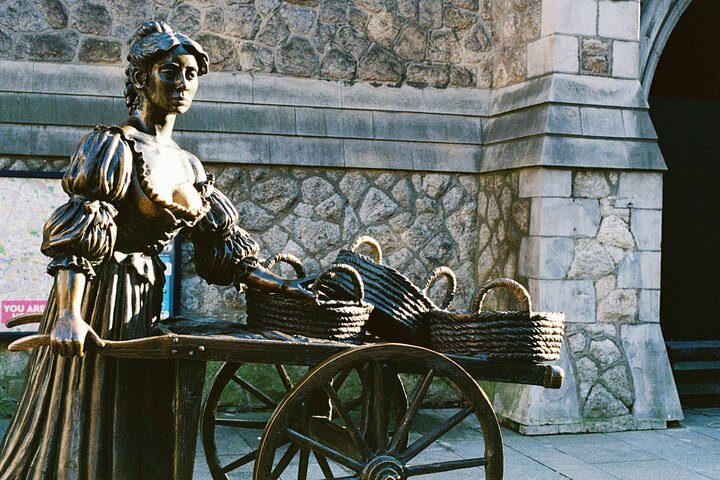 Visite guidée du Livre de Kells, du château de Dublin et de la statue de Molly Malone, photo 18 | wizardtrip