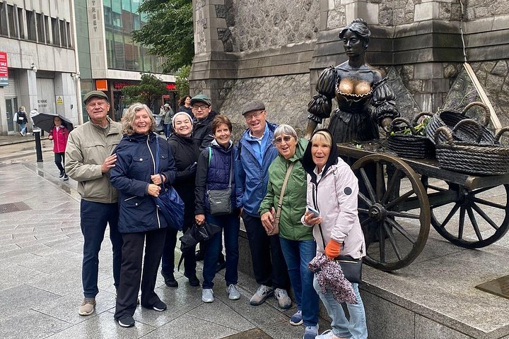 Visite guidée du Livre de Kells, du château de Dublin et de la statue de Molly Malone, photo 19 | wizardtrip