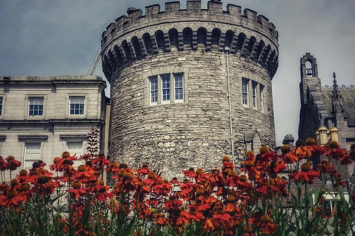 Visite guidée du Livre de Kells, du château de Dublin et de la statue de Molly Malone, photo 21 | wizardtrip