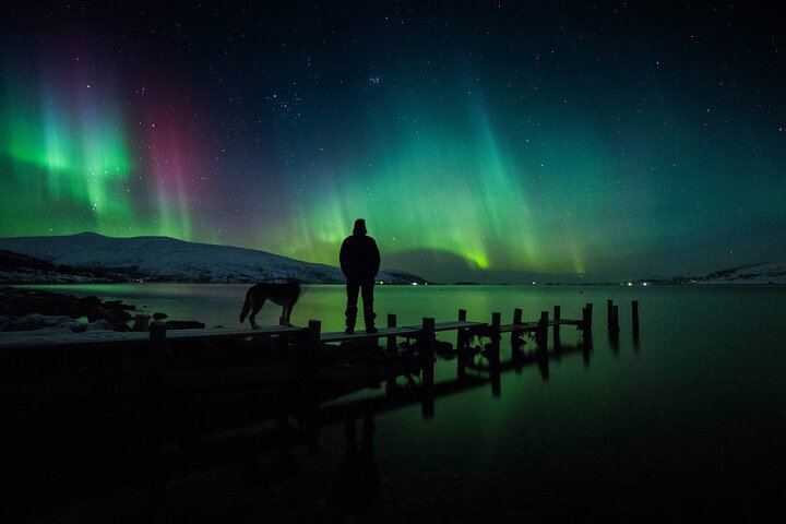Passeio em pequenos grupos para caçar a Aurora Boreal perto de Tromsø, Noruega, com fotografia de retrato incluída, foto 9 | wizardtrip
