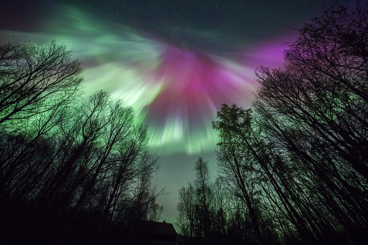 Passeio em pequenos grupos para caçar a Aurora Boreal perto de Tromsø, Noruega, com fotografia de retrato incluída, foto 12 | wizardtrip