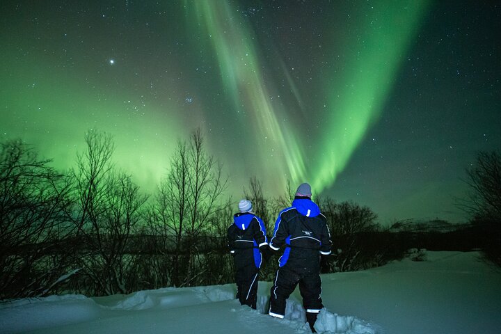 Passeio em pequenos grupos para caçar a Aurora Boreal perto de Tromsø, Noruega, com fotografia de retrato incluída, foto 17 | wizardtrip