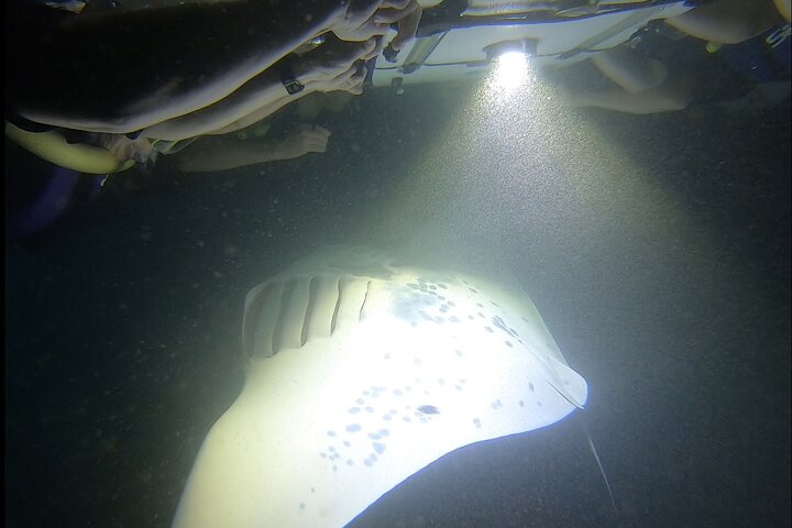 Natlig manta ray snorkel-eventyr på Big Island, Hawaii, foto 6 | wizardtrip