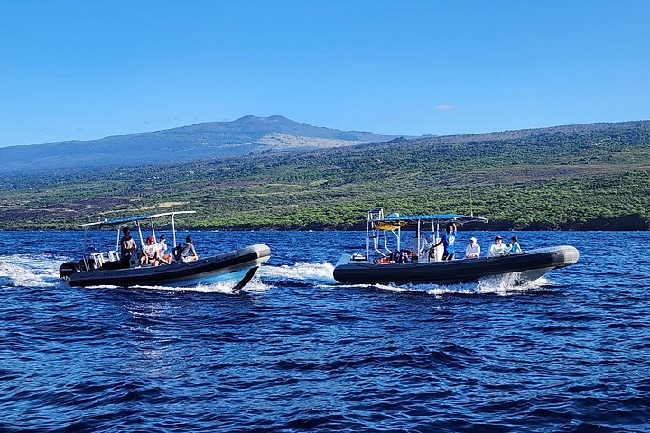Natlig manta ray snorkel-eventyr på Big Island, Hawaii, foto 11 | wizardtrip