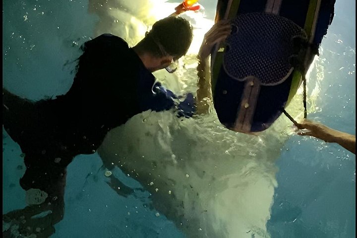 Natlig manta ray snorkel-eventyr på Big Island, Hawaii, foto 13 | wizardtrip