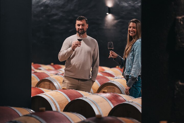Tour de vinho de dia inteiro de Bordéus a Saint-Emilion e às vinhas de Margaux, foto 9 | wizardtrip
