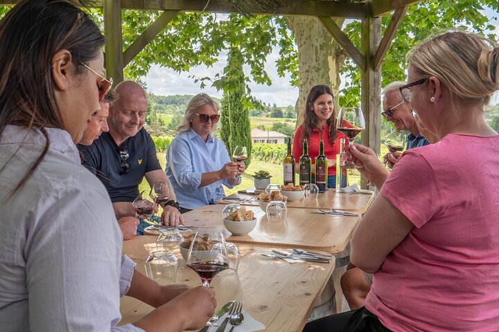 Tour de vinho de dia inteiro de Bordéus a Saint-Emilion e às vinhas de Margaux, foto 11 | wizardtrip