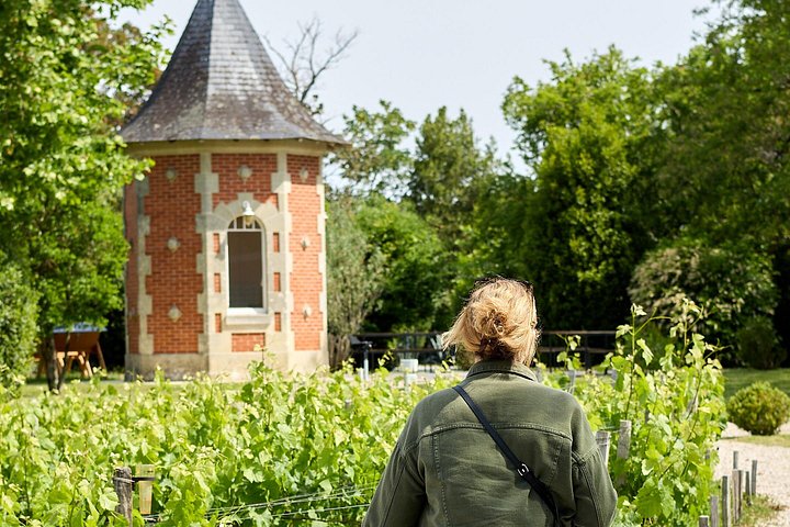 Tour de vinho de dia inteiro de Bordéus a Saint-Emilion e às vinhas de Margaux, foto 17 | wizardtrip