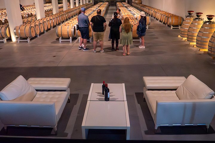 Tour de vinho de dia inteiro de Bordéus a Saint-Emilion e às vinhas de Margaux, foto 21 | wizardtrip