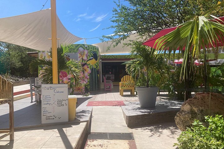 Explore as paisagens do leste de Curaçao em um quadriciclo, com vistas panorâmicas e banhos na costa, foto 9 | wizardtrip