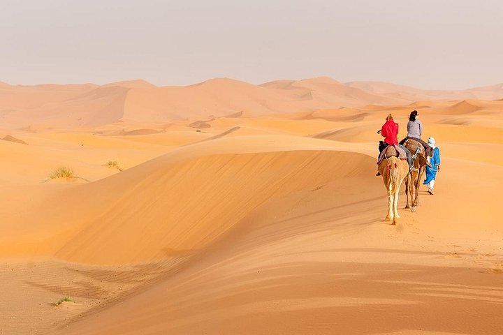 Aventure de Luxe 4 Jours dans le Sahara depuis Marrakech | wizardtrip
