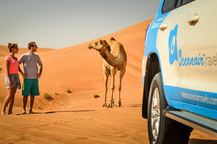 Vivez un safari désert palpitant à Dubaï avec dune bashing, balades à dos de chameau et sandboarding, photo 7 | wizardtrip