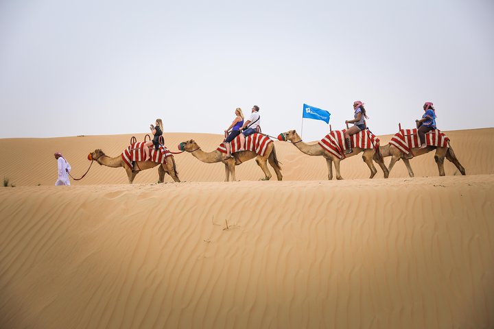 Vivez un safari désert palpitant à Dubaï avec dune bashing, balades à dos de chameau et sandboarding, photo 10 | wizardtrip