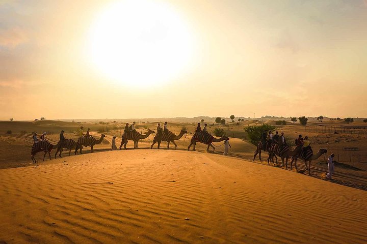 Dubai Sunset Camel Ride & BBQ Dinner at Al Khayma Camp | wizardtrip