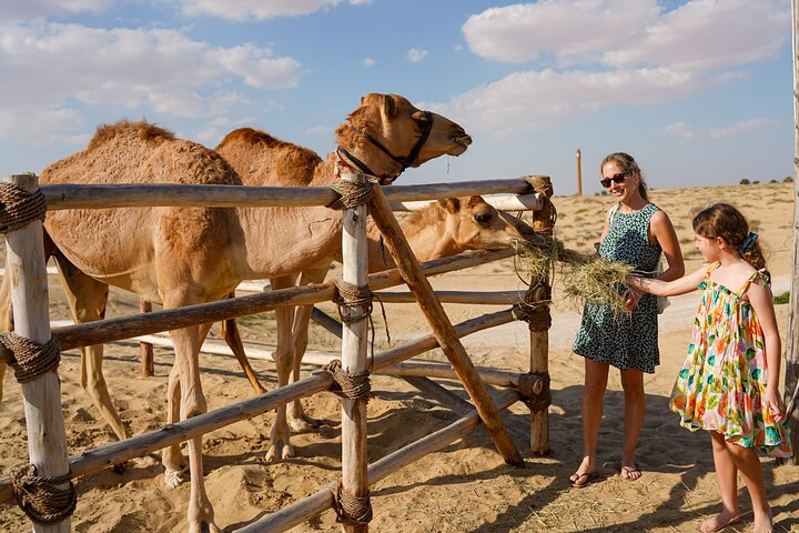 Avventura in quad nel deserto di Dubai con giri in cammello, cena BBQ e osservazione delle stelle, foto 11 | wizardtrip