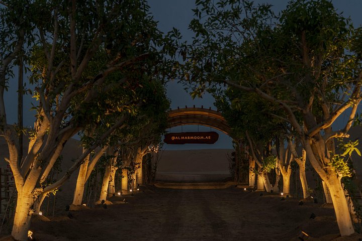 Avventura in quad nel deserto di Dubai con giri in cammello, cena BBQ e osservazione delle stelle, foto 22 | wizardtrip