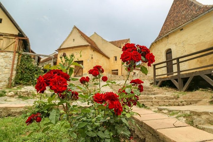 Tour met kleine groep naar Kasteel Bran, Fort Râșnov en Kasteel Peleș vanuit Brașov, Roemenië, foto 10 | wizardtrip