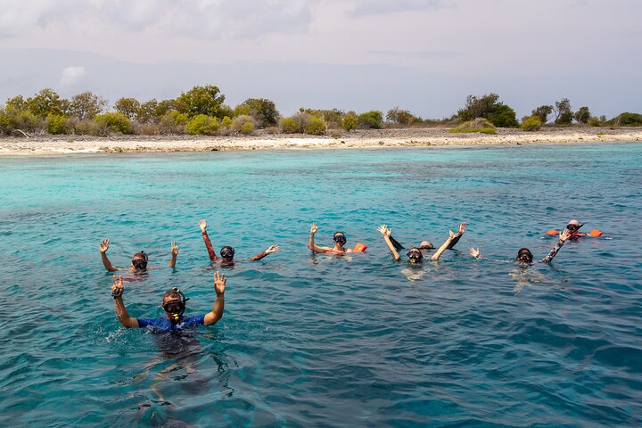 Schnorcheltour für kleine Gruppen im Meerespark von Bonaire mit lebendigen Korallenriffen und vielfältigem Meeresleben, Foto 2 | wizardtrip