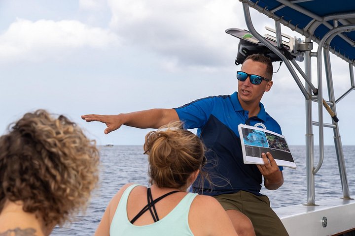 Schnorcheltour für kleine Gruppen im Meerespark von Bonaire mit lebendigen Korallenriffen und vielfältigem Meeresleben, Foto 3 | wizardtrip