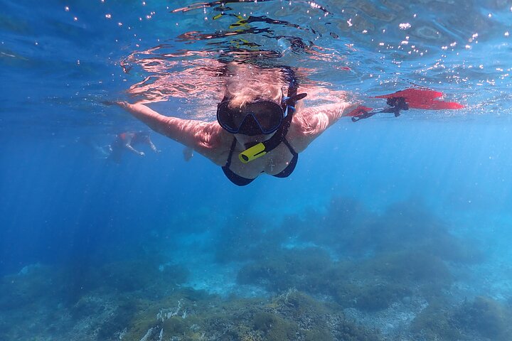 Schnorcheltour für kleine Gruppen im Meerespark von Bonaire mit lebendigen Korallenriffen und vielfältigem Meeresleben, Foto 4 | wizardtrip