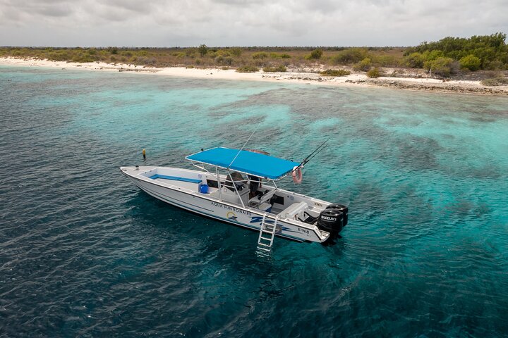 Schnorcheltour für kleine Gruppen im Meerespark von Bonaire mit lebendigen Korallenriffen und vielfältigem Meeresleben, Foto 12 | wizardtrip