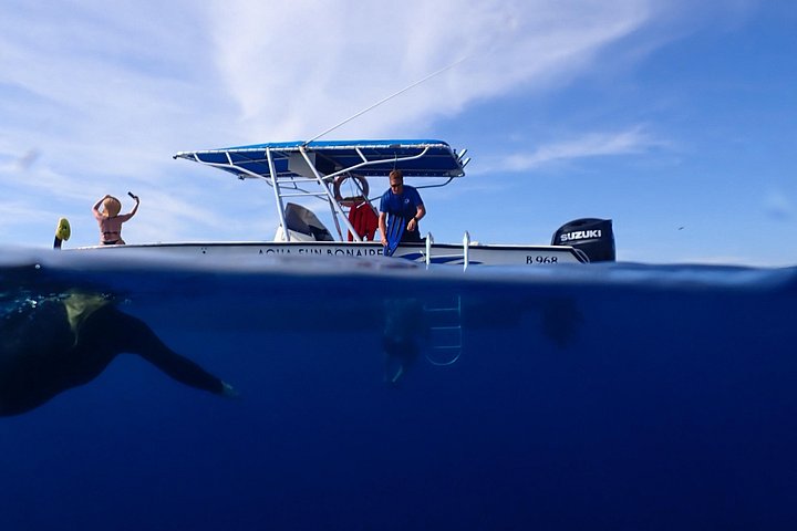 Schnorcheltour für kleine Gruppen im Meerespark von Bonaire mit lebendigen Korallenriffen und vielfältigem Meeresleben, Foto 13 | wizardtrip
