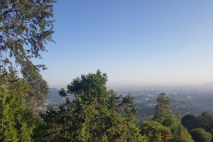 Visite d'une journée complète d'Addis-Abeba avec prise en charge et retour à l'hôtel | wizardtrip
