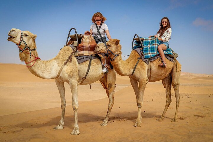 Ervaar een woestijnsafari in Abu Dhabi met dune bashing, kamelentochten, BBQ-diner en culturele shows, foto 7 | wizardtrip