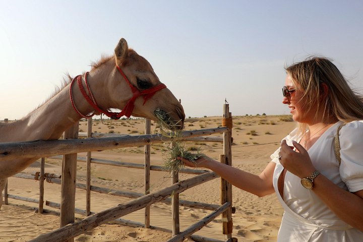Ervaar een woestijnsafari in Abu Dhabi met dune bashing, kamelentochten, BBQ-diner en culturele shows, foto 11 | wizardtrip