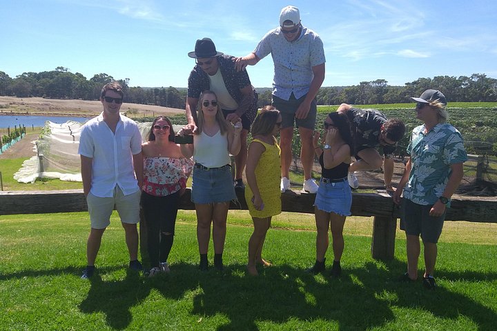 Full-day wine, brewery, and distillery tour in Margaret River, Australia, photo 17 | wizardtrip