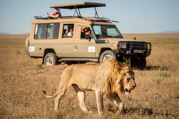 Safari de Luxe 7 Jours en Tanzanie Tout Compris | wizardtrip