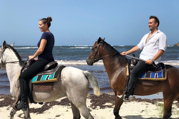 Privé Paardrijden op het Strand van St. Lucia | wizardtrip