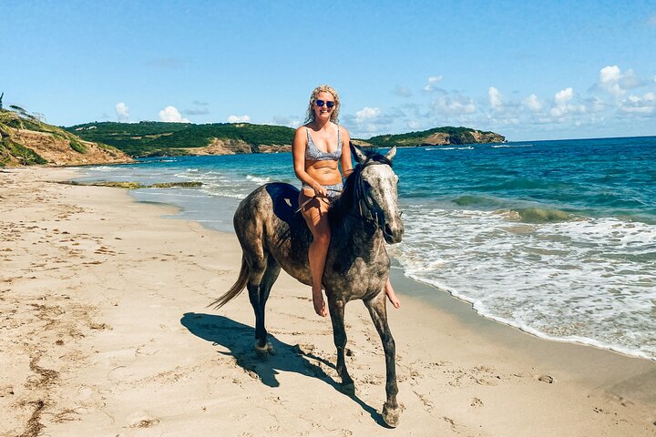 Privé paardrijtocht langs de ongerepte kustlijn van St. Lucia, foto 2 | wizardtrip