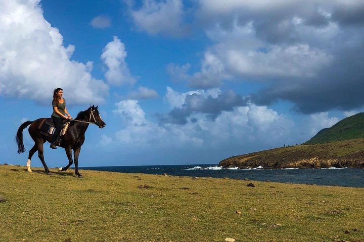 Privé paardrijtocht langs de ongerepte kustlijn van St. Lucia, foto 3 | wizardtrip