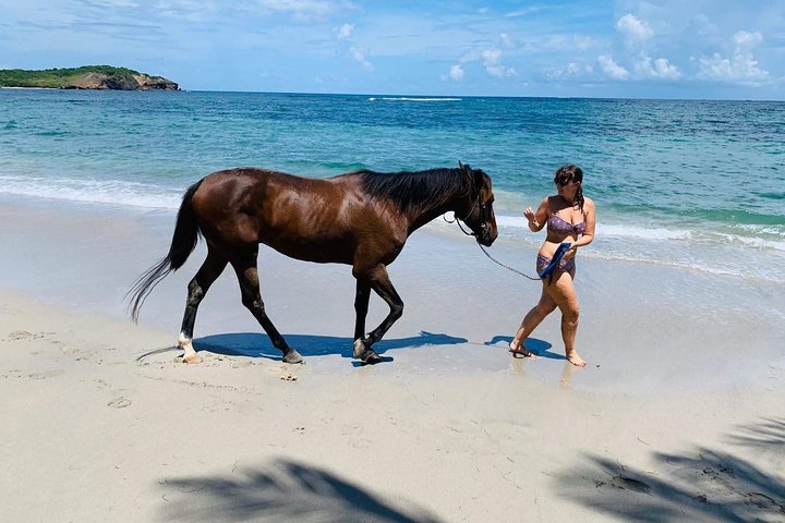 Privé paardrijtocht langs de ongerepte kustlijn van St. Lucia, foto 9 | wizardtrip