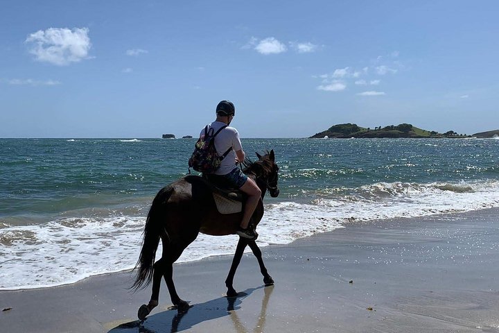 Privé paardrijtocht langs de ongerepte kustlijn van St. Lucia, foto 11 | wizardtrip