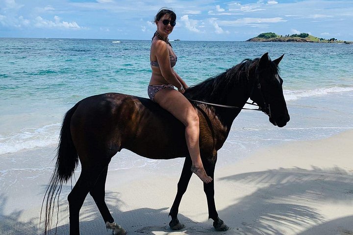 Privé paardrijtocht langs de ongerepte kustlijn van St. Lucia, foto 12 | wizardtrip