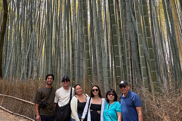Explore Kyoto's historic temples, shrines, and traditional districts on a personalized guided walking tour, photo 40 | wizardtrip