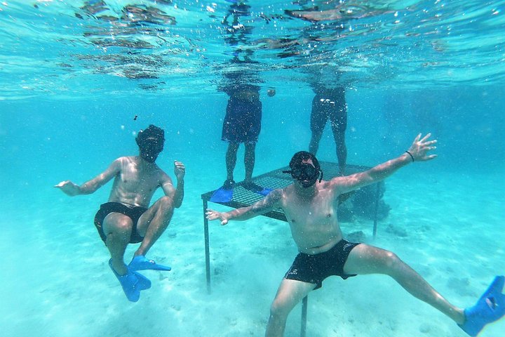 Cruzeiro de barco com fundo de vidro e snorkel na Lagoa Muri, Rarotonga, com almoço BBQ, foto 8 | wizardtrip