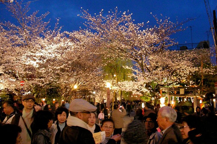 Passeio noturno a pé pelo histórico distrito das gueixas de Gion, em Kyoto, explorando templos e ruas tradicionais, foto 6 | wizardtrip