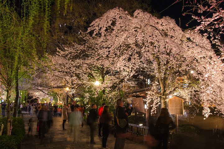 Passeio noturno a pé pelo histórico distrito das gueixas de Gion, em Kyoto, explorando templos e ruas tradicionais, foto 7 | wizardtrip